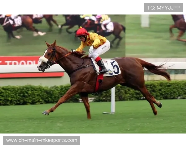 赛马：夺冠热门意外失蹄，全场一片惊呼